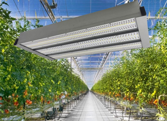 Greenhouse Toplighting