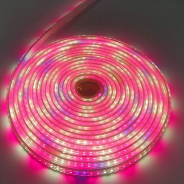 220V UV LED Grow Light Strip