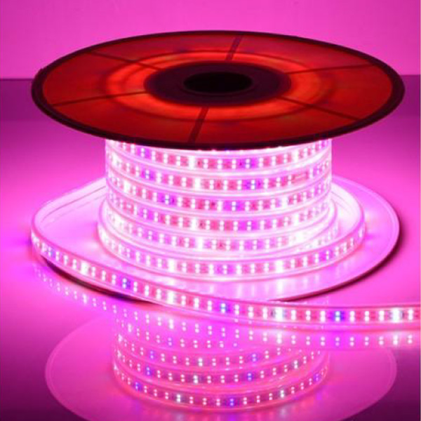 220V Red And Blue LED Grow Light Strip