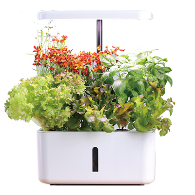 Hydroponics 8 Holes ABS Eco-friendly Plastic Vegetable Spectrum Horticulture Lighting Planter