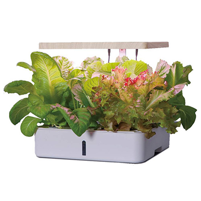 Hydroponics 12 Holes ABS Eco-friendly Plastic Vegetable Spectrum Horticulture Lighting Planter