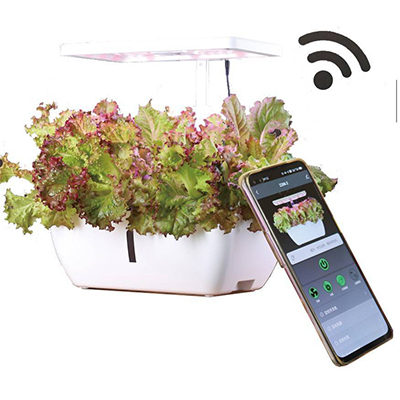Hydroponics 12 Holes Smart Control Vegetable Spectrum Horticulture Lighting Planter