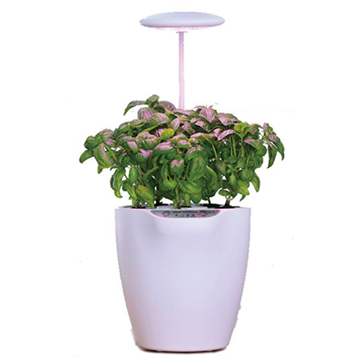 Hydroponics & Substrate Cultivation 6 Holes Universal Spectrum Horticulture Lighting Planter