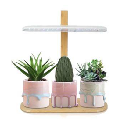 Hydroponics & Substrate Cultivation Bamboo Free Matching Planter Horticulture Lighting